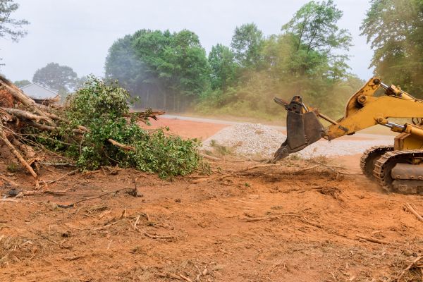 Ground Clearing in Statesville