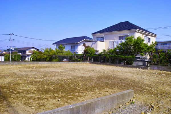 Cost of Lot Clearing Service in Statesville