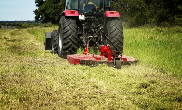 Brush Clearing Service in Statesville