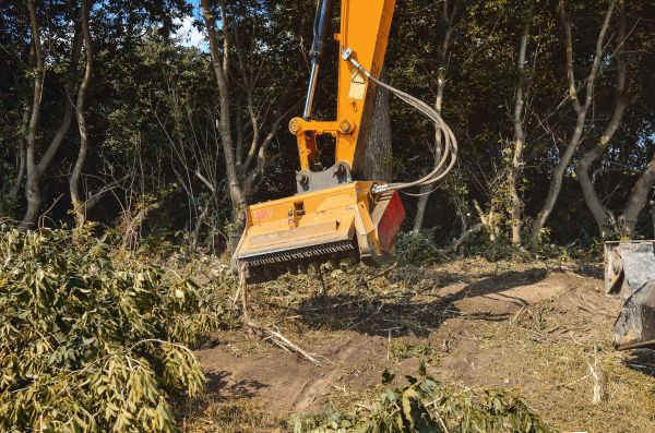 Brush Removal Service in Statesville