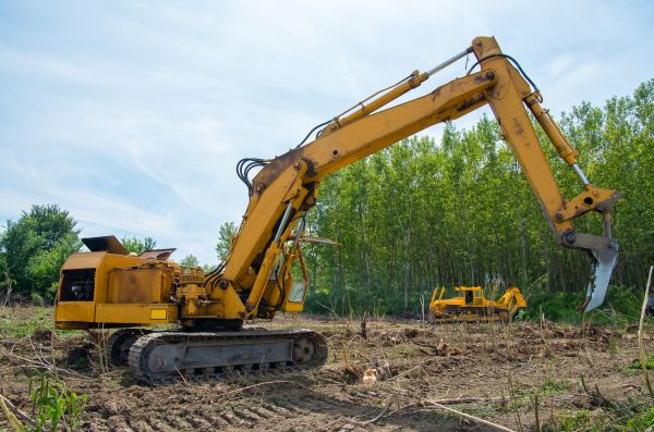 Farm Clearing in Statesville