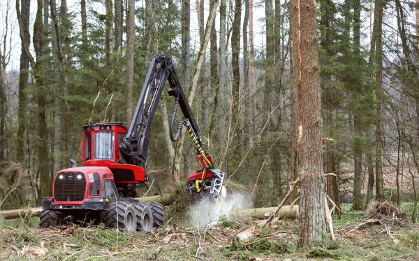 Forest Clearance Service in Statesville