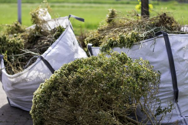 Cost of Bushes Clearing in Statesville