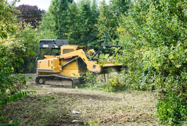 Pathway Clearing in Statesville