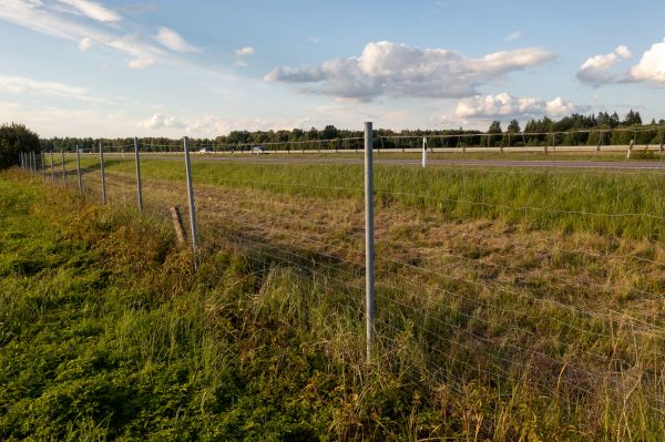 Property Line Clearing in Statesville